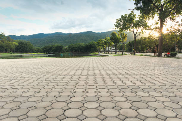 Best Commercial Driveway Pavers  in Davisboro, GA